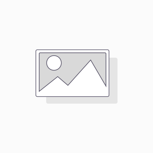 Arandela para G, K, HD, HDS, Karcher