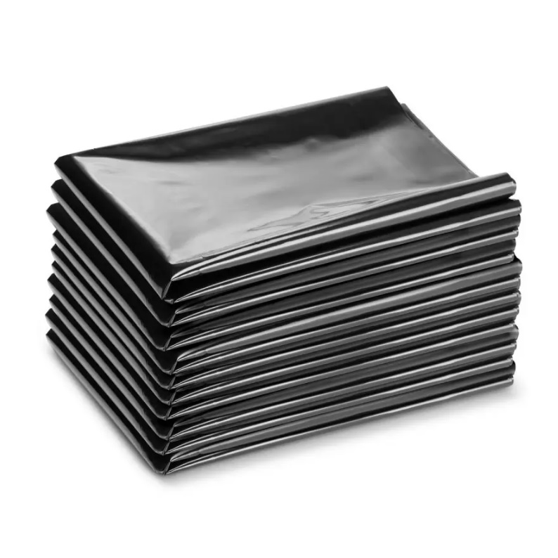 Bolsa de plástico para la eliminación de residuos sin polvo, 10 und, Karcher