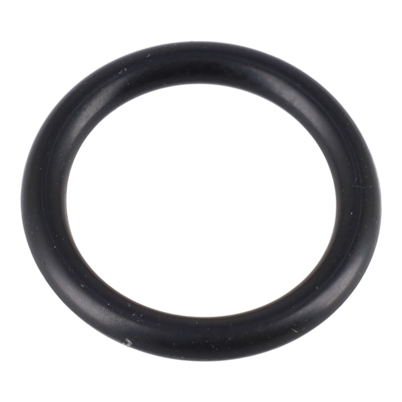 [6.362-169.0] Anillo de guarnicion  12,0 X 2,0, Karcher