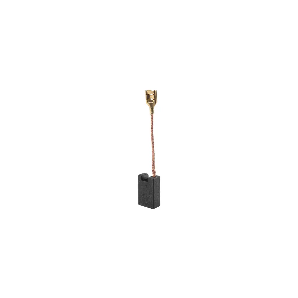 [102120] Bolsa con 2 carbones de repuesto para SINCO-10X2-2