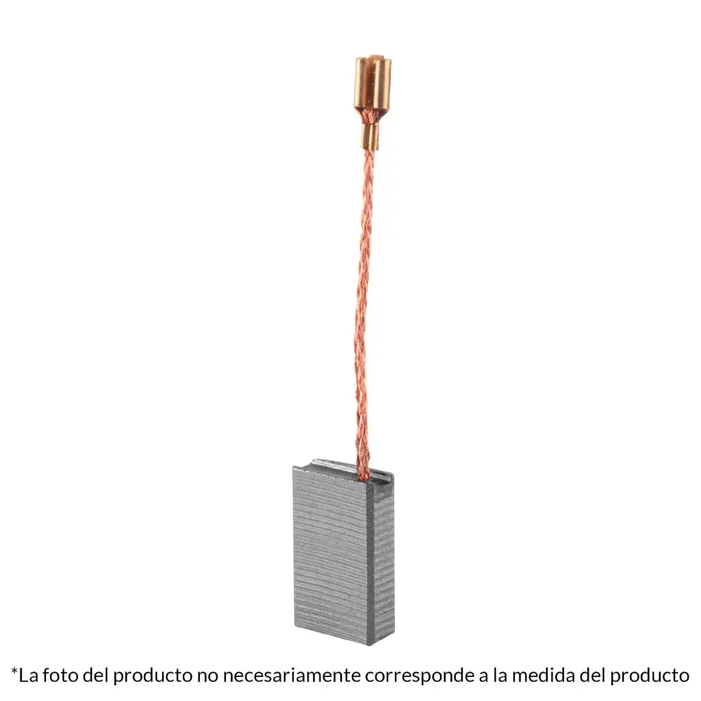 [100665] Bolsa con 2 carbones de repuesto para ROEL-60N-2