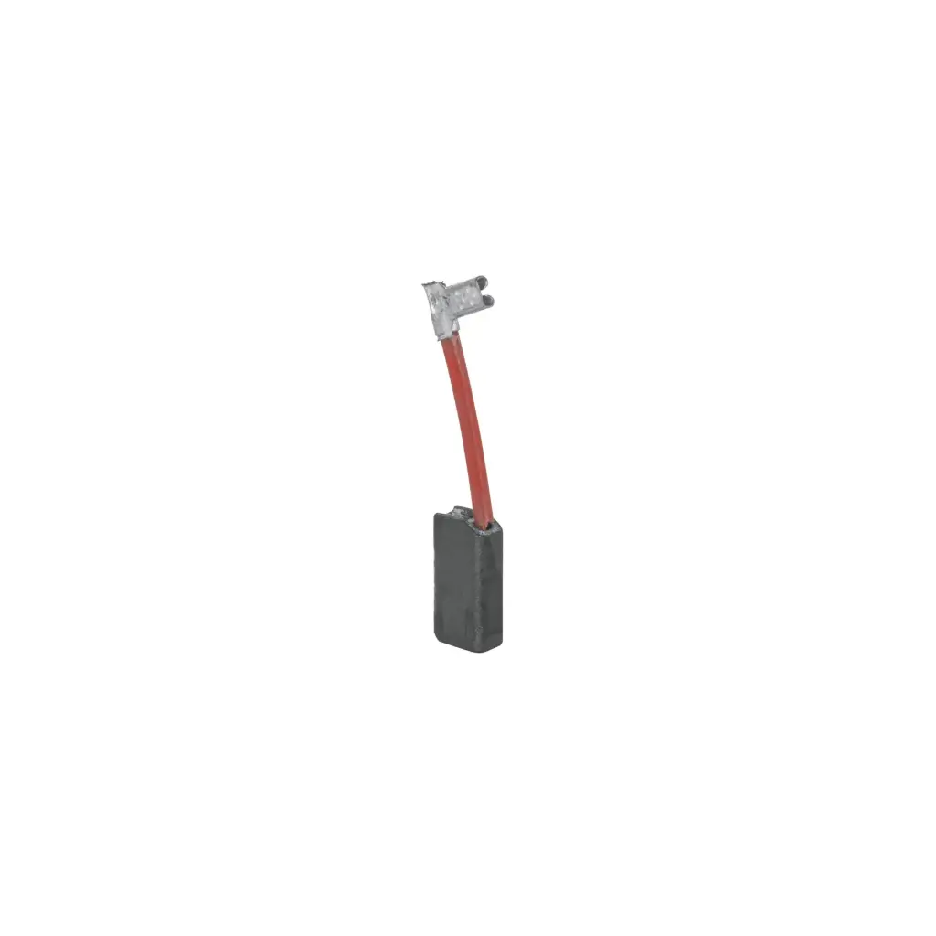 [11017] Bolsa con 2 carbones de repuesto para ROTO-1/2A8-2