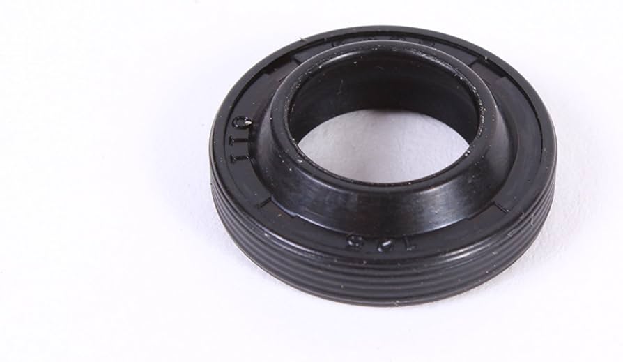 Reten labial 12x20x4/6, Karcher