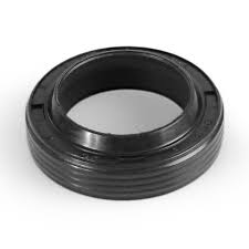 Reten labial 20X28X6/8, Karcher