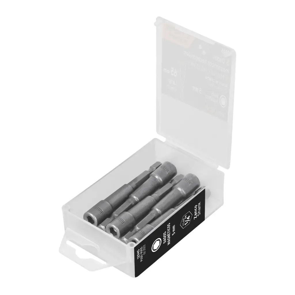 Estuche con 5 dados magnéticos de 5 mm largo 2", Expert