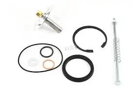 Inlet Valve Kit, Kaeser