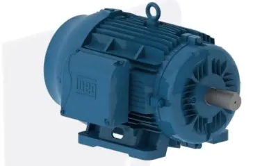 Motor Eléctrico Trifásico