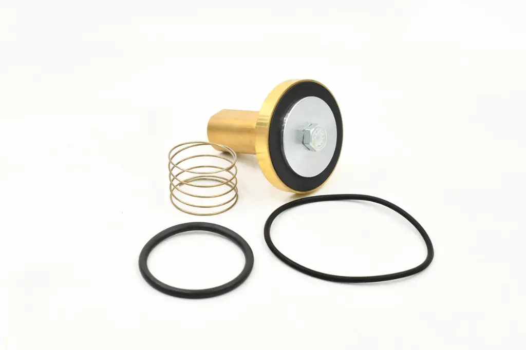 Minimum Pressure Check Valve Kit, Kaeser