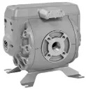 Bomba neumatica de diafragma DF250, Samoa