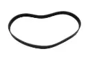 V-Ribbed Belt, Kaeser