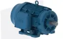 Motor Eléctrico Trifásico asíncrono con calidad certificada ISO 9001 DE ALTA EFICIENCIA CON PATAS, montaje horizontal, según Estándares IEC.